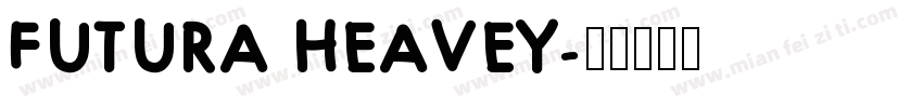 FUTURA HEAVEY字体转换